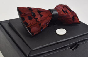 Bowtie - Peacock Feathers, Handmade